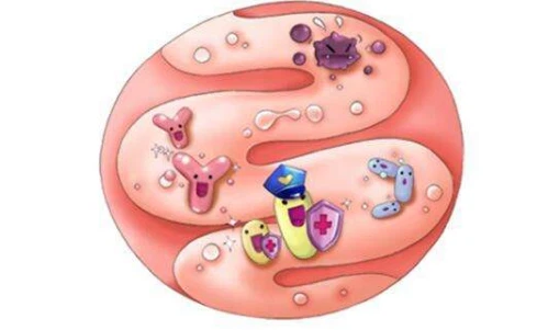 Probioway Co Ltd Probioway Co Ltd