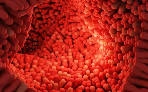 Synbiotics Probiotics Prebiotics