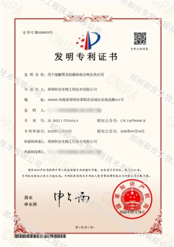 좋은 소식|Hehe Biotechnology는 또 다른 발명 특허를 획득했습니다. 4가지 고유한 프로바이오틱 균주의 조합으로 장-신장 축의...