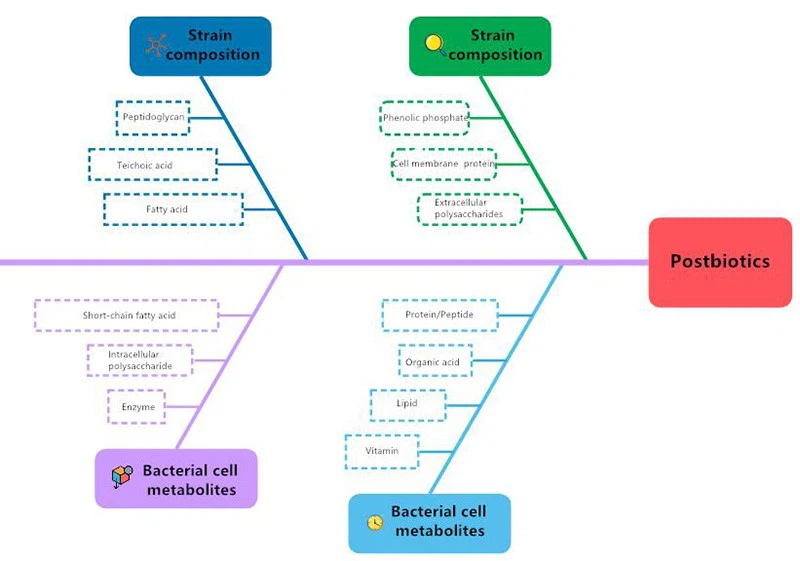 Whats the postbiotics